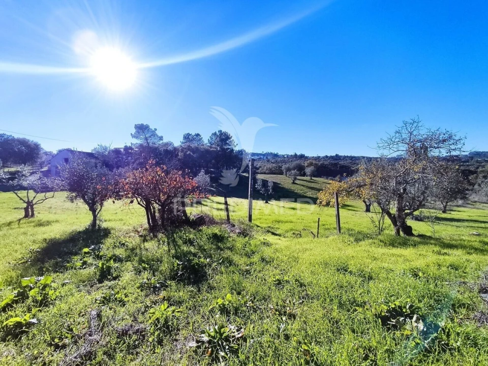 Terreno para Venda em Atouguia Foto 4