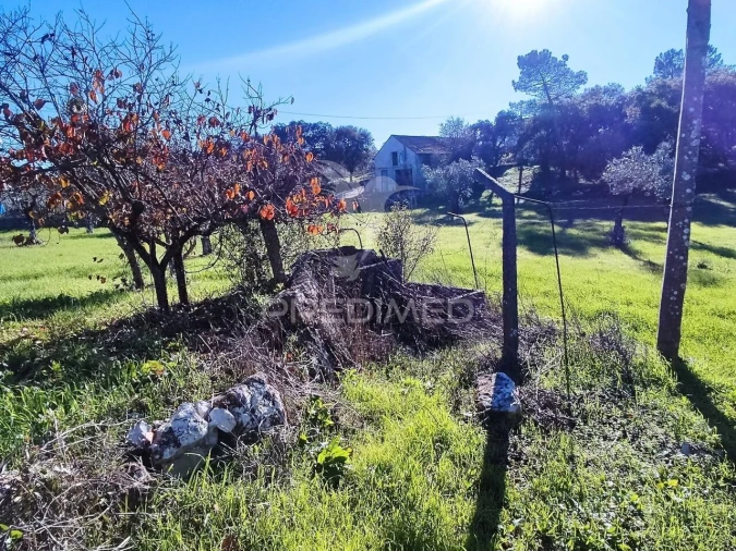 Terreno para Venda em Atouguia Foto 5