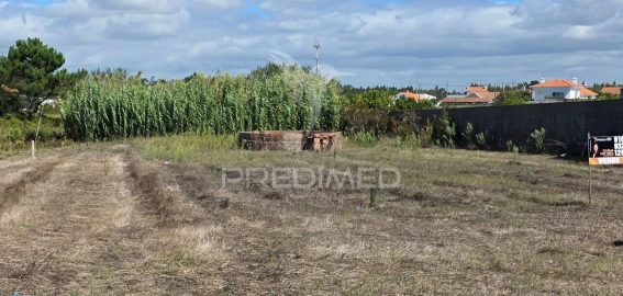 Terreno para Venda em Coimbrão