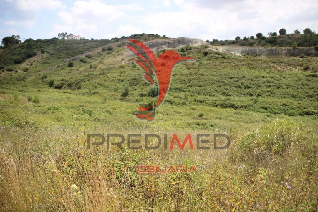 Terreno para Venda em Chancelaria Foto 3