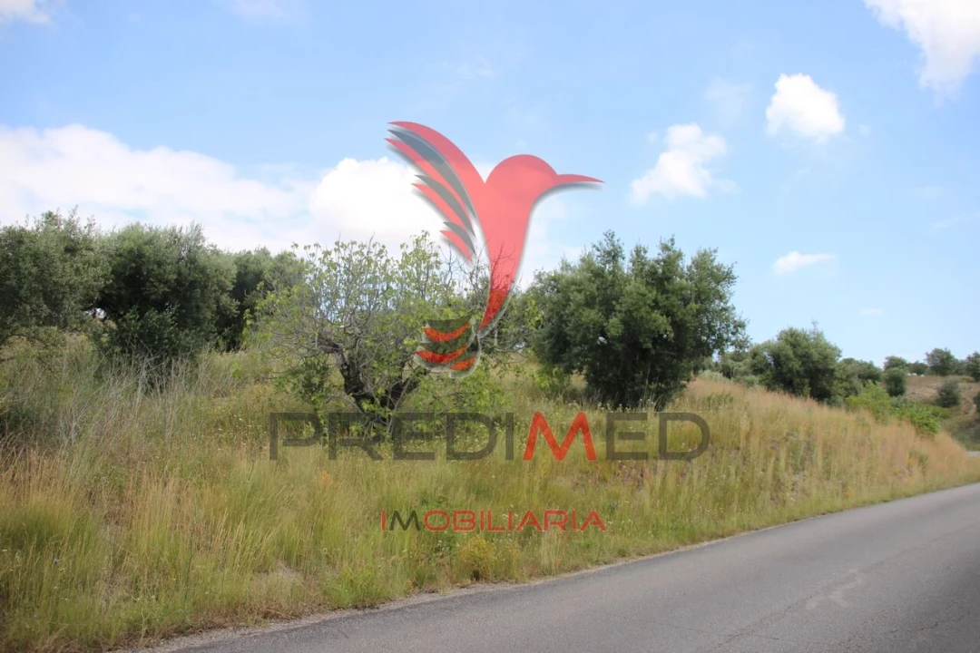 Terreno para Venda em Chancelaria Foto 8