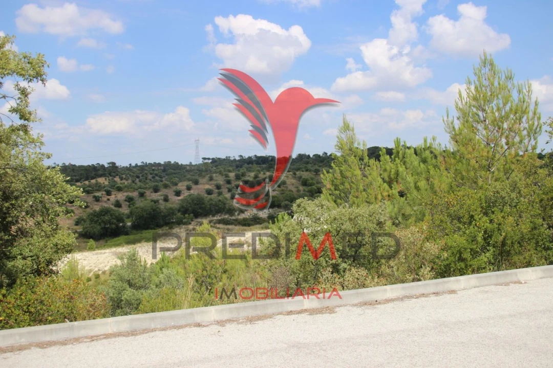 Terreno para Venda em Chancelaria Foto 16