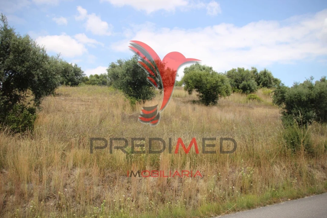 Terreno para Venda em Chancelaria Foto 6