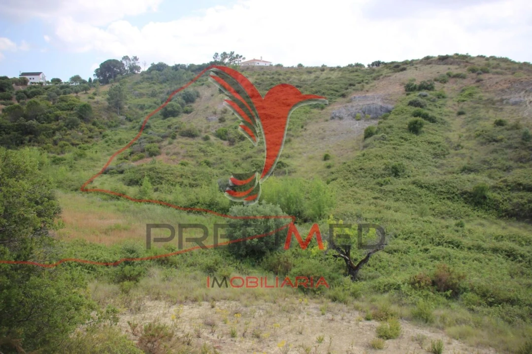 Terreno para Venda em Chancelaria Foto 22