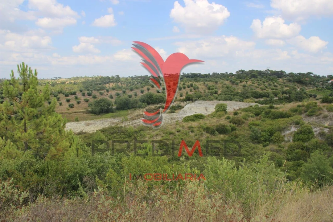 Terreno para Venda em Chancelaria Foto 13