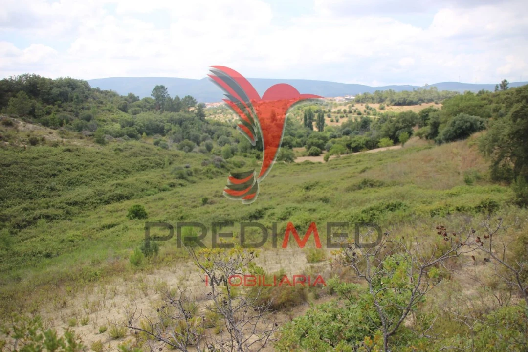 Terreno para Venda em Chancelaria Foto 11