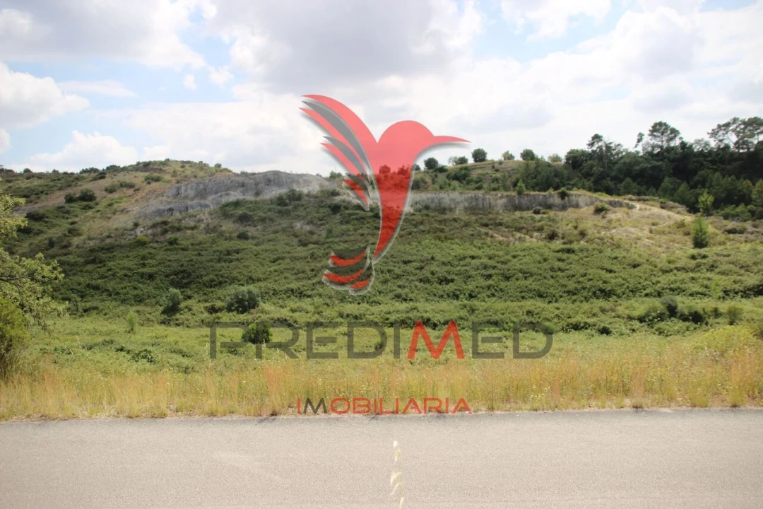 Terreno para Venda em Chancelaria Foto 4