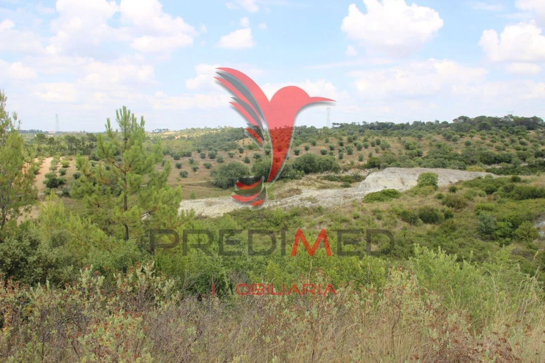 Terreno para Venda em Chancelaria Foto 14