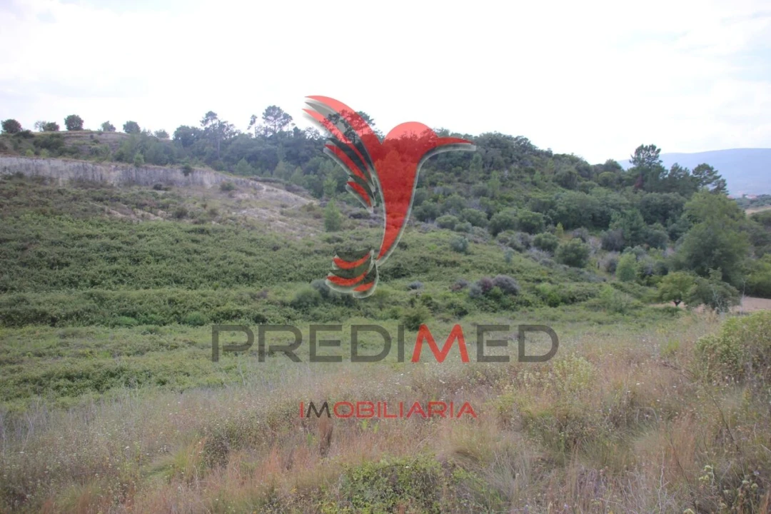 Terreno para Venda em Chancelaria Foto 7