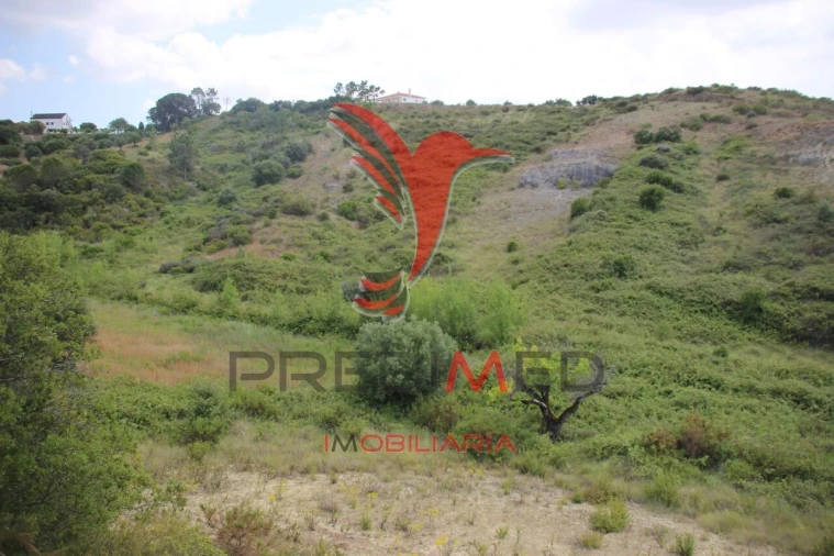 Terreno para Venda em Chancelaria Foto 12