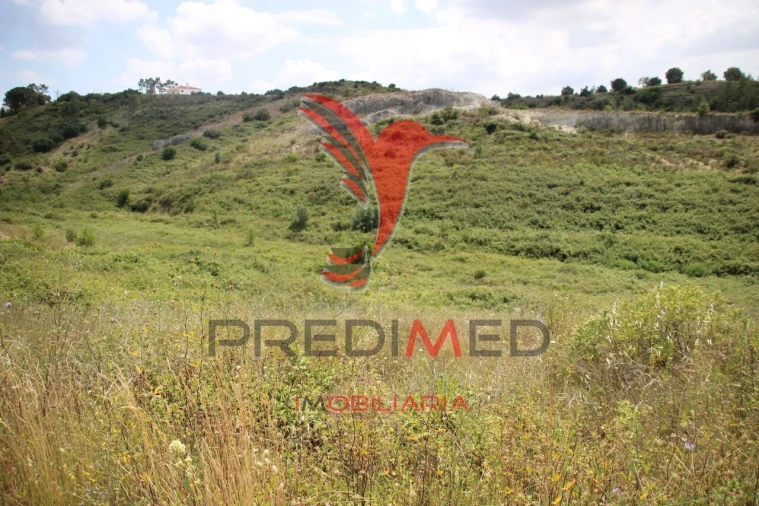 Terreno para Venda em Chancelaria Foto 3