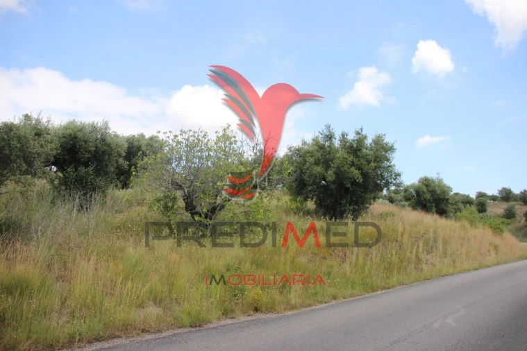 Terreno para Venda em Chancelaria Foto 8