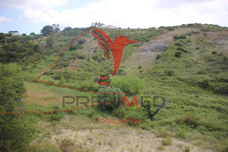 Terreno para Venda em Chancelaria Foto 22