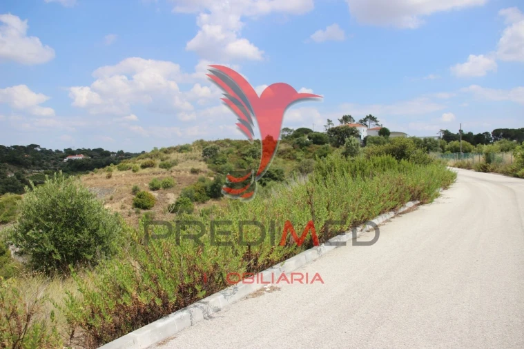 Terreno para Venda em Chancelaria Foto 17