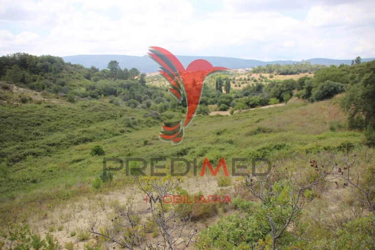 Terreno para Venda em Chancelaria Foto 11