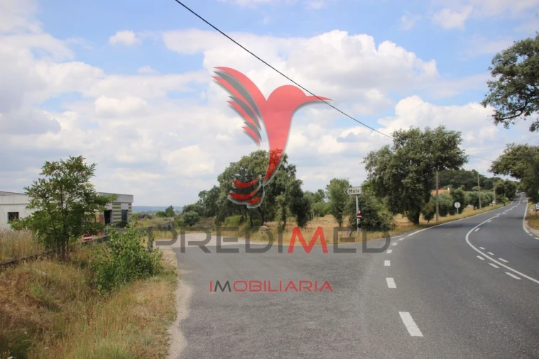 Terreno para Venda em Chancelaria Foto 21