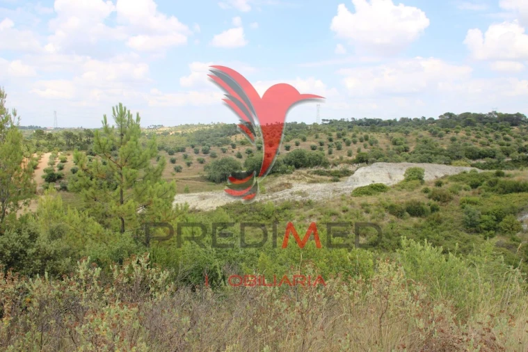 Terreno para Venda em Chancelaria Foto 14