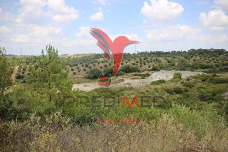 Terreno para Venda em Chancelaria Foto 15