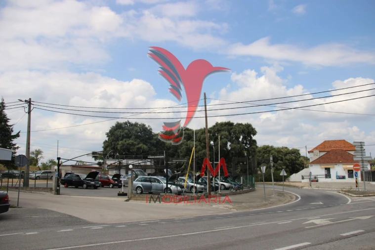 Terreno para Venda em Chancelaria Foto 20