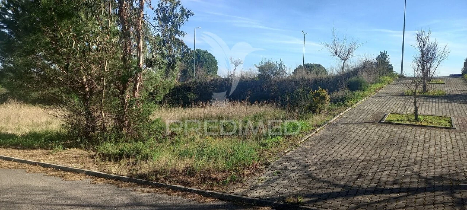 Terreno para Venda em Constancia Foto 5