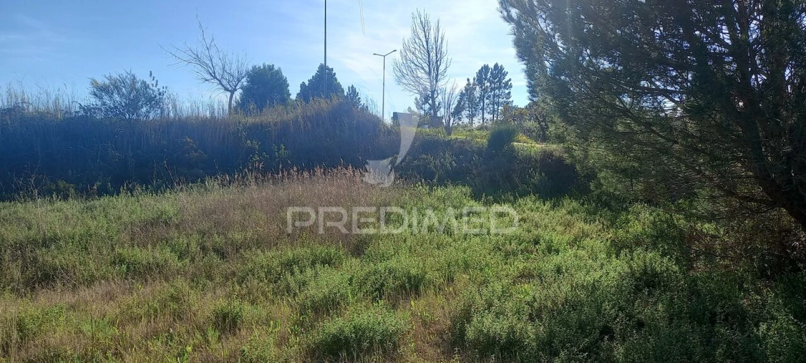 Terreno para Venda em Constancia Foto 3