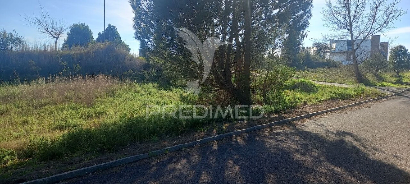 Terreno para Venda em Constancia Foto 4