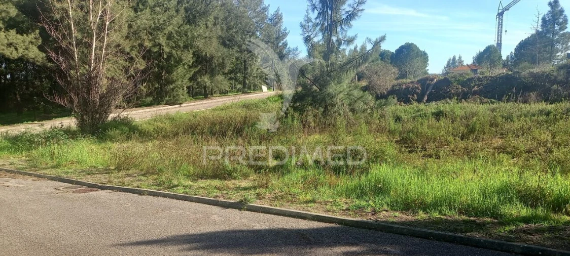 Terreno para Venda em Constancia