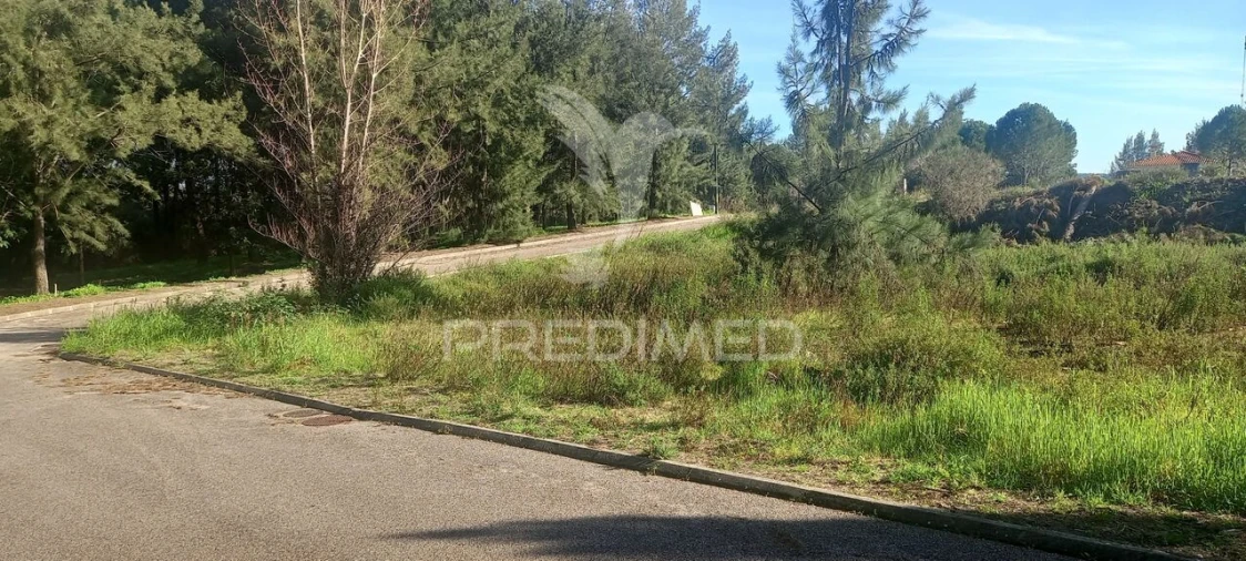 Terreno para Venda em Constancia Foto 2