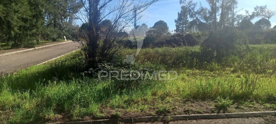 Terreno para Venda em Constancia Foto 3