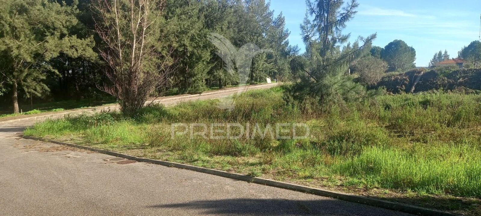 Terreno para Venda em Constancia Foto 2