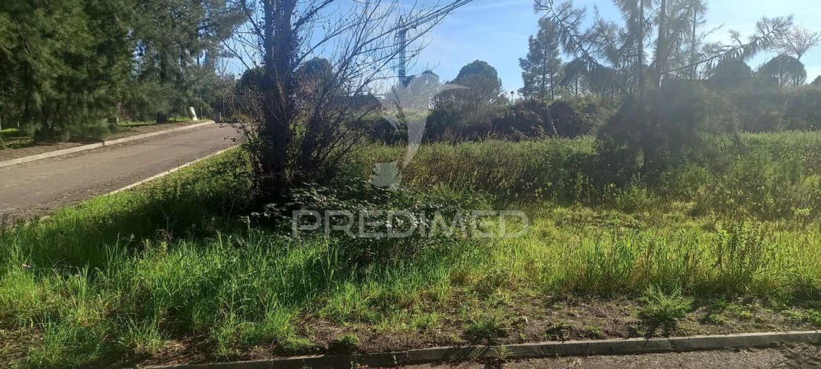 Terreno para Venda em Constancia Foto 3