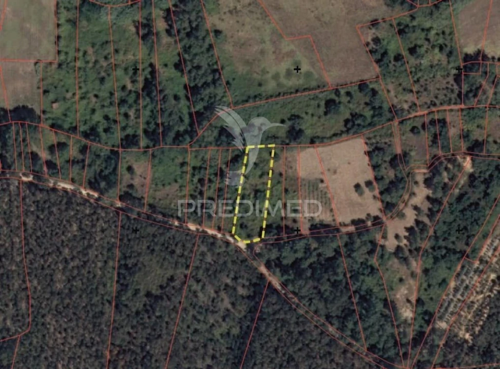 Terreno para Venda em Arneiro das Milhariças Foto 1