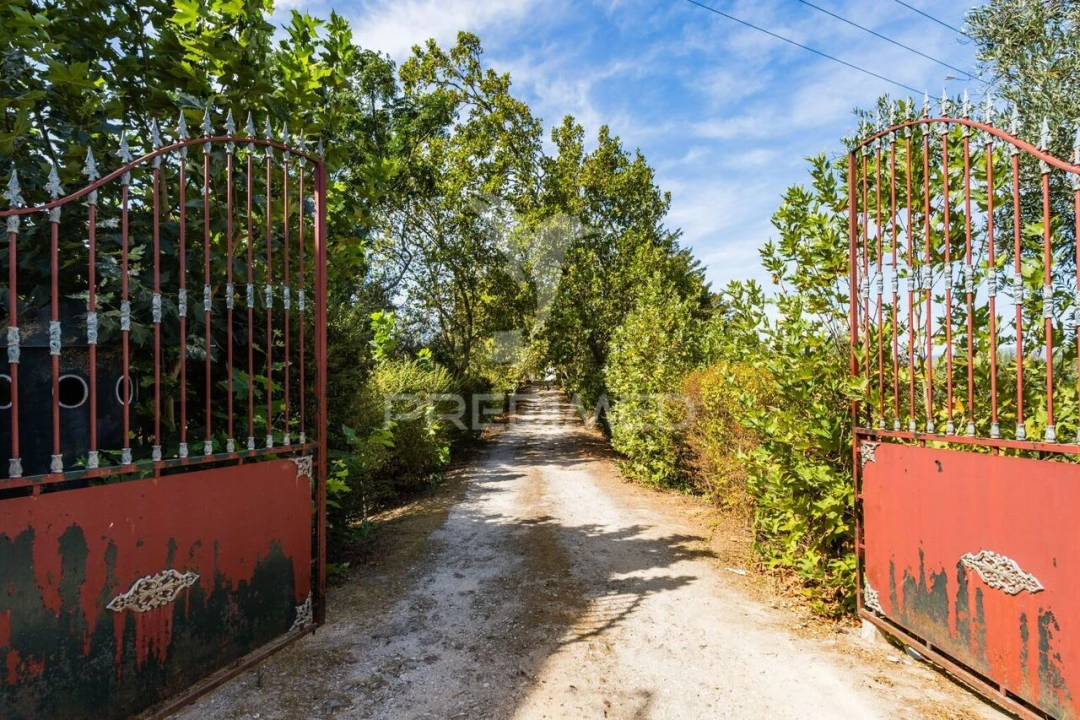 Quinta T4 para Venda em Meia Via Foto 36