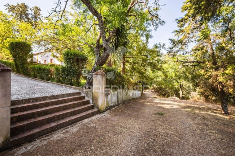 Quinta T4 para Venda em Meia Via Foto 9