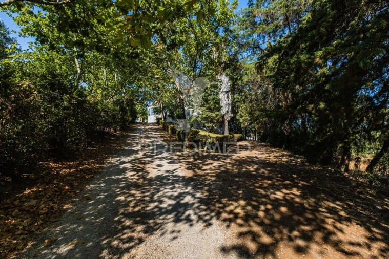 Quinta T4 para Venda em Meia Via Foto 35