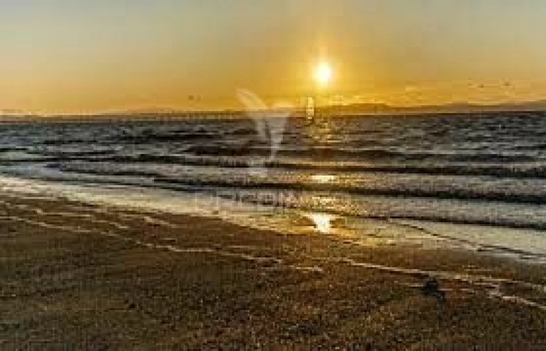 Moradia T4 para Venda em Alcochete Foto 30