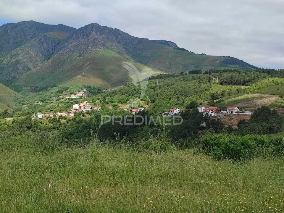 Moradia T0 para Venda em Medrões Foto 4