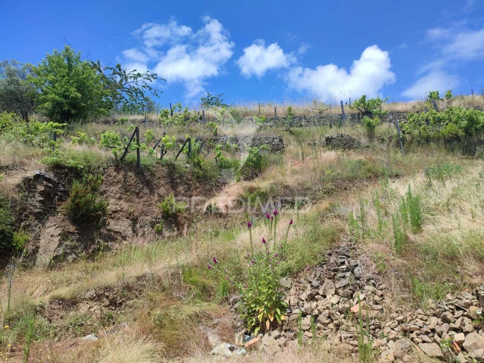 Moradia T0 para Venda em Medrões Foto 27