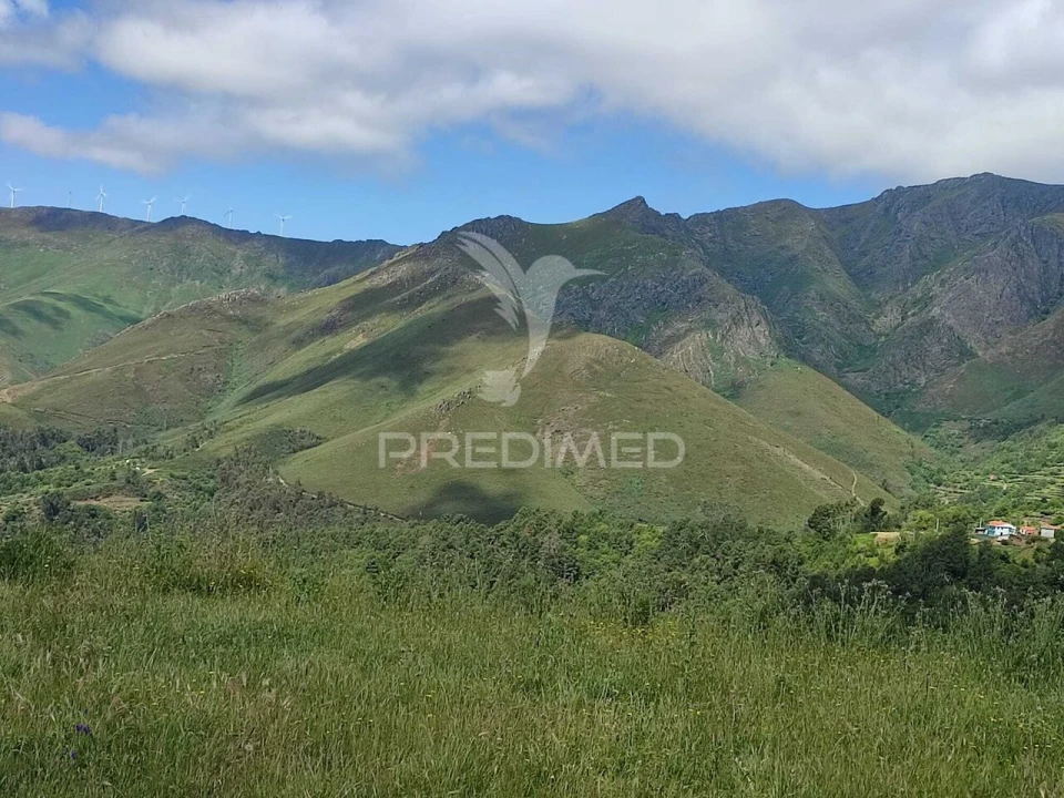 Moradia T0 para Venda em Medrões Foto 2