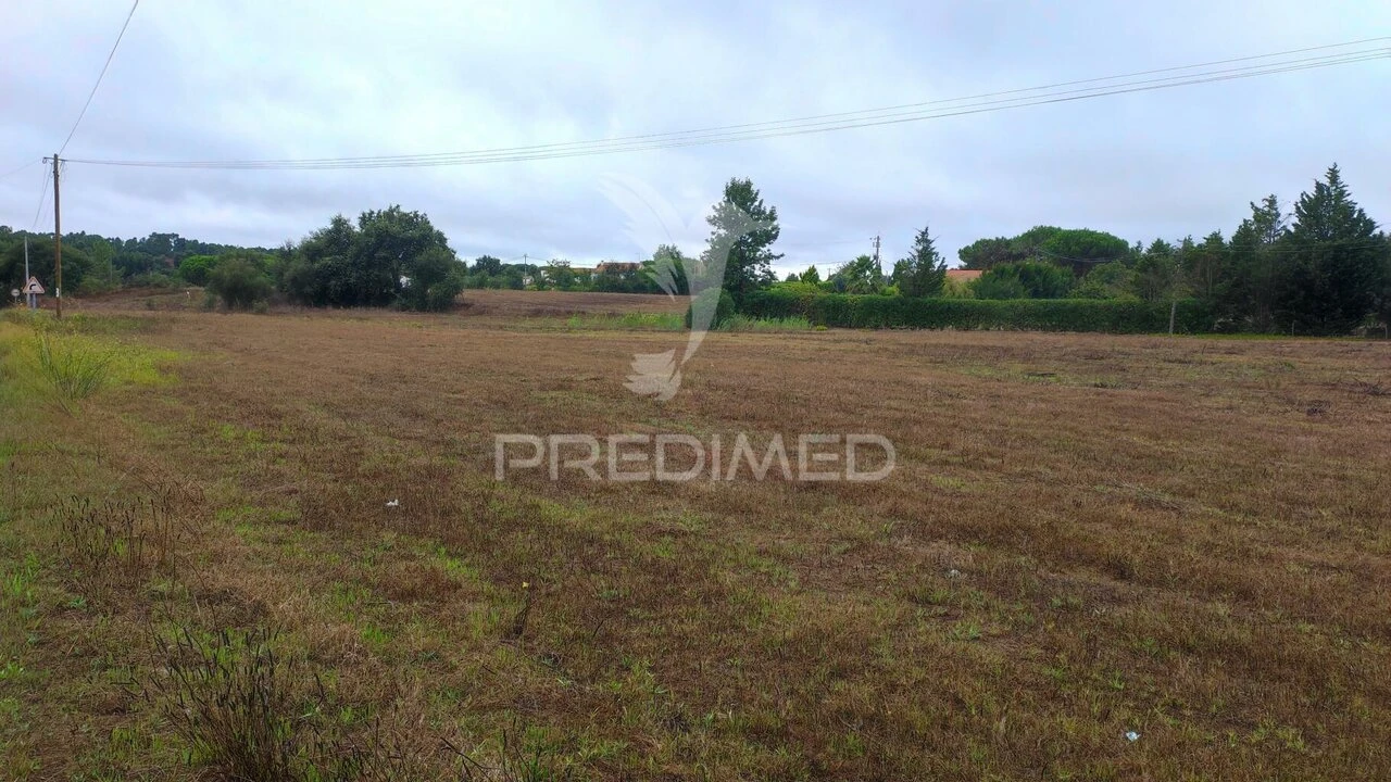 Terreno para Venda em Boavista dos Pinheiros Foto 3