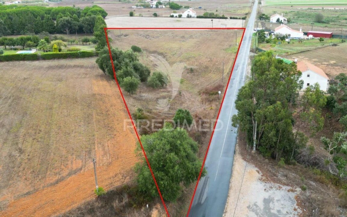 Terreno para Venda em Boavista dos Pinheiros Foto 13