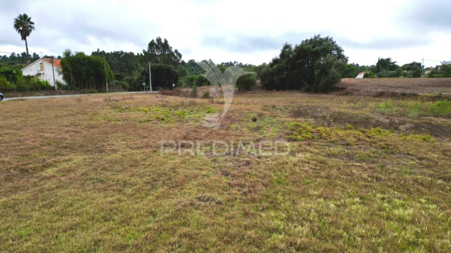 Terreno para Venda em Boavista dos Pinheiros Foto 4