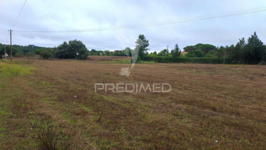 Terreno para Venda em Boavista dos Pinheiros Foto 3