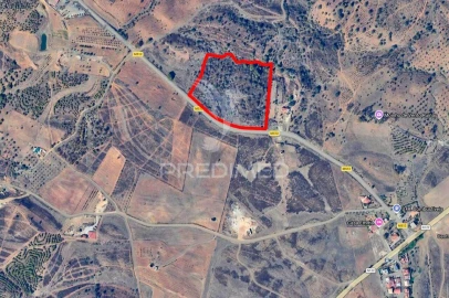 Terreno para Venda em Azinhal