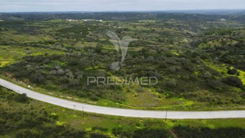 Terreno para Venda em Azinhal