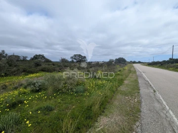 Terreno para Venda em Azinhal