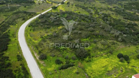 Terreno para Venda em Azinhal