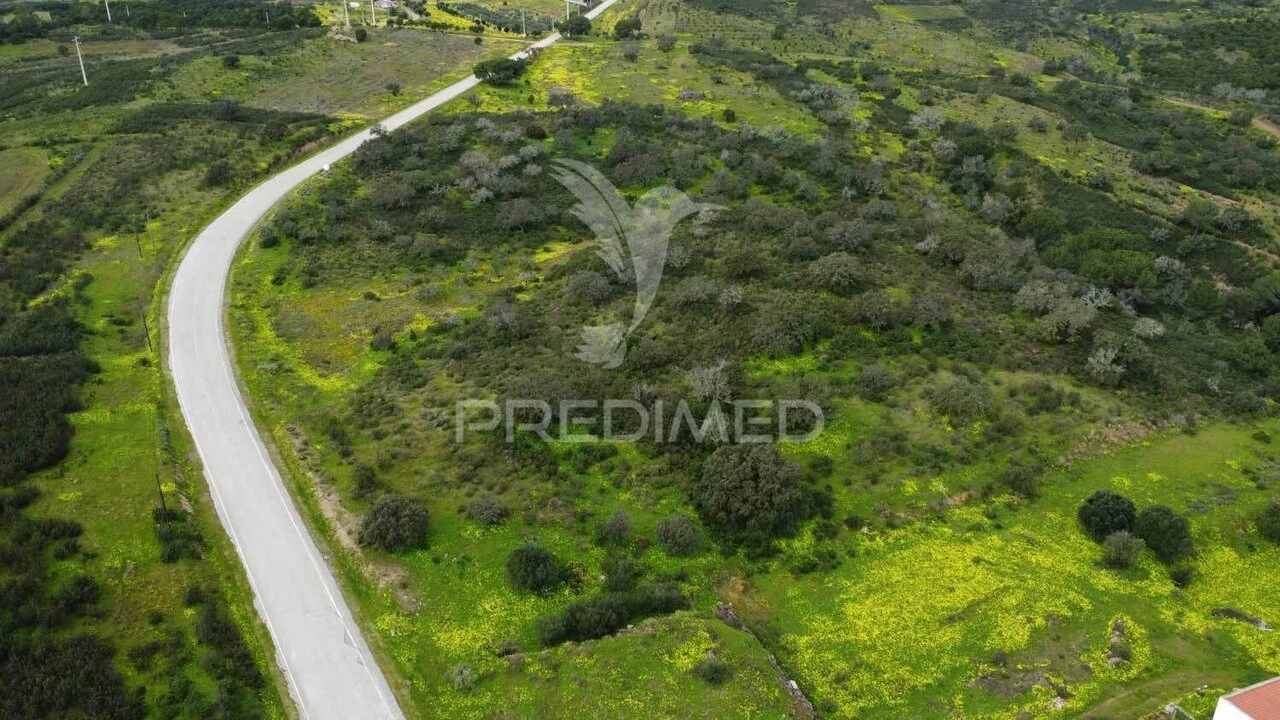 Terreno para Venda em Azinhal Foto 3