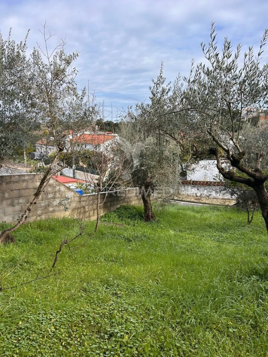 Moradia T4 para Venda em Tolosa Foto 6