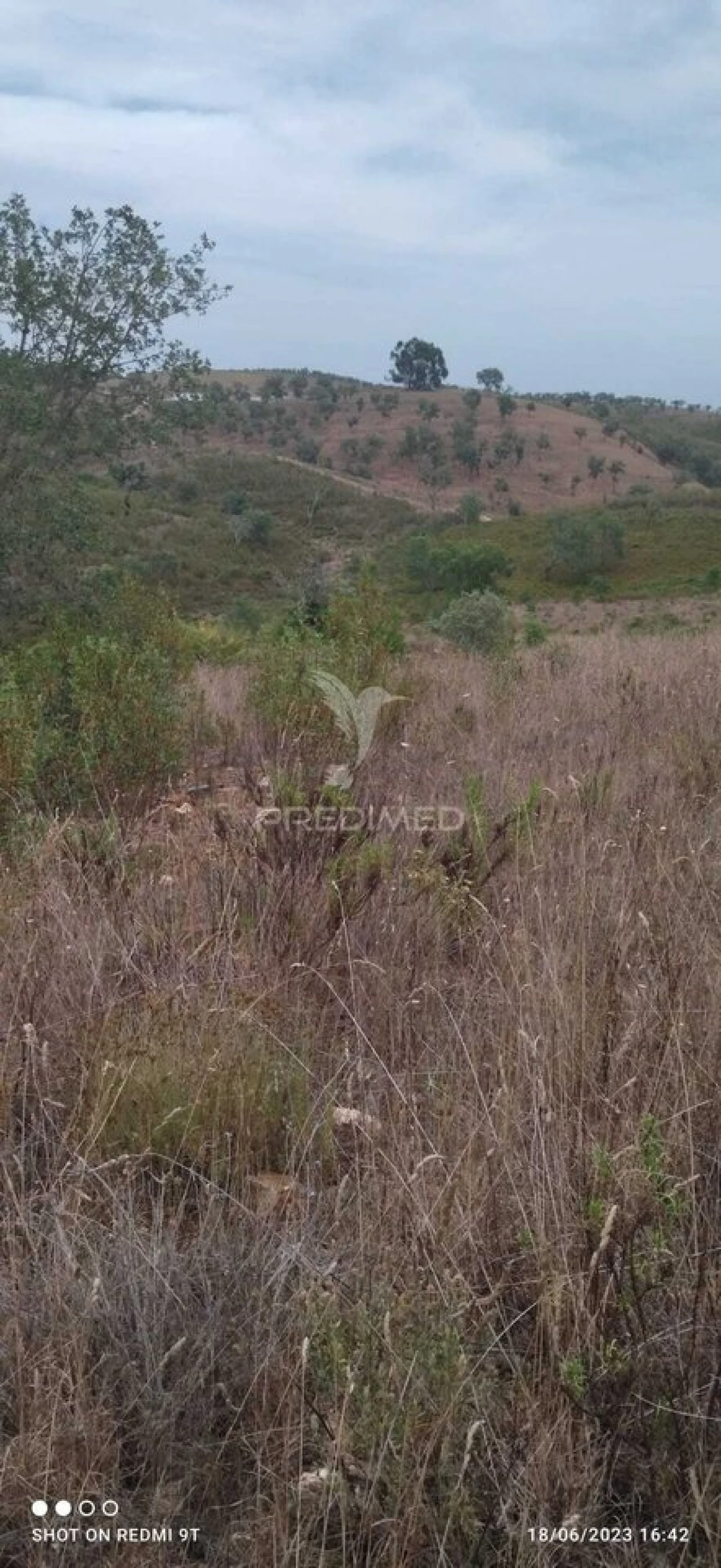 Quinta T0 para Venda em Luzianes-Gare Foto 6